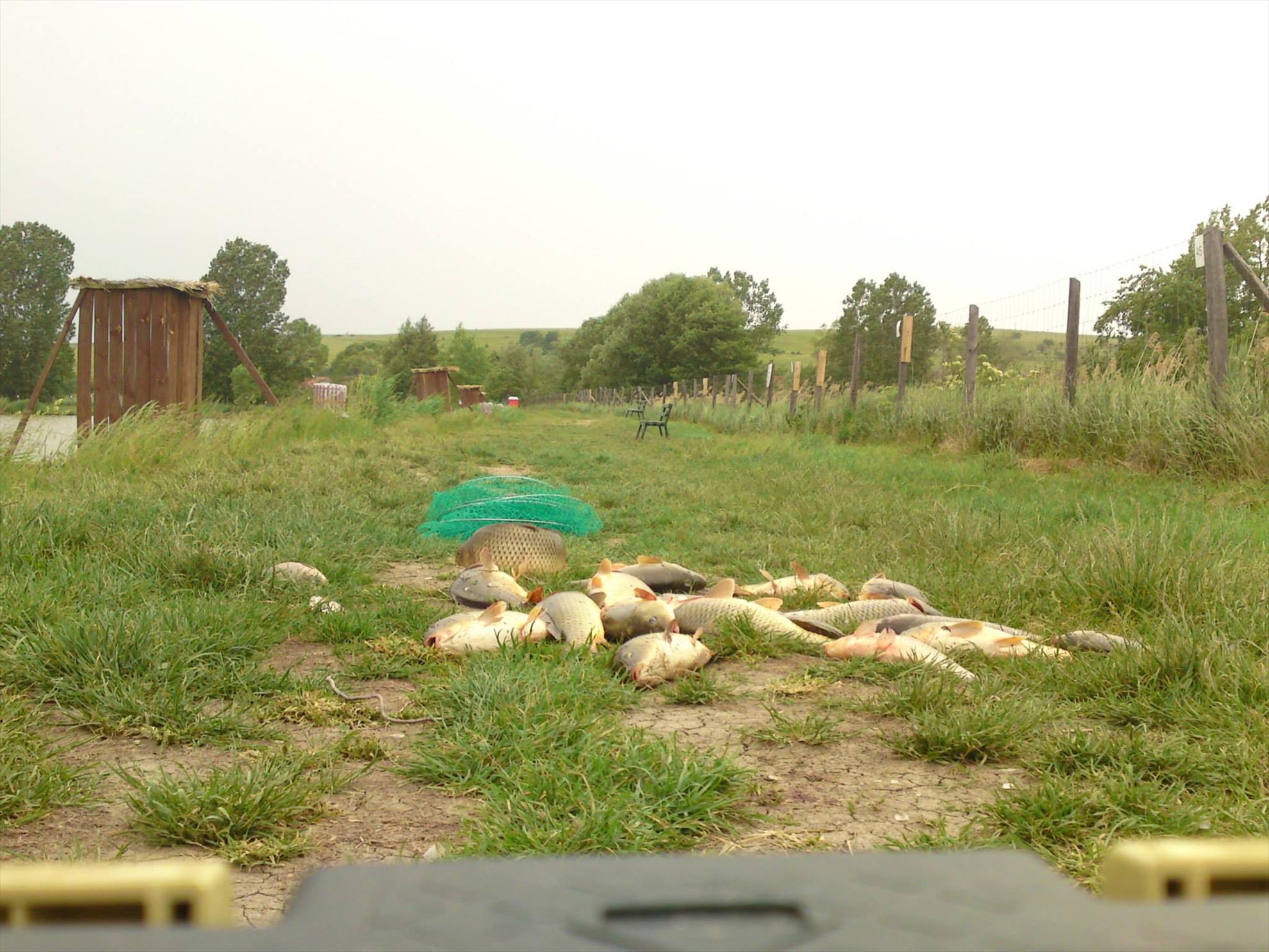 pescuit la sanpaul harghita cu colegii - 980350595117000521432229912704o.jpg